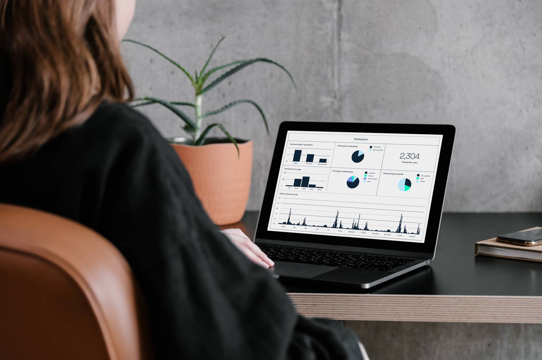 Person viewing statistical charts on laptop